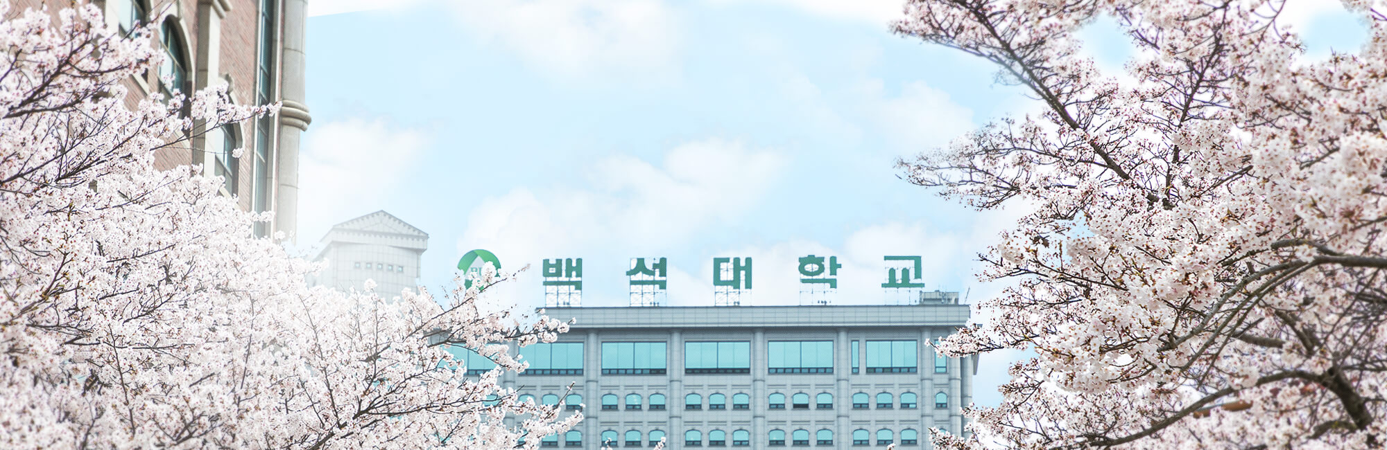 기독교대학의 글로벌 리더, 백석대학교